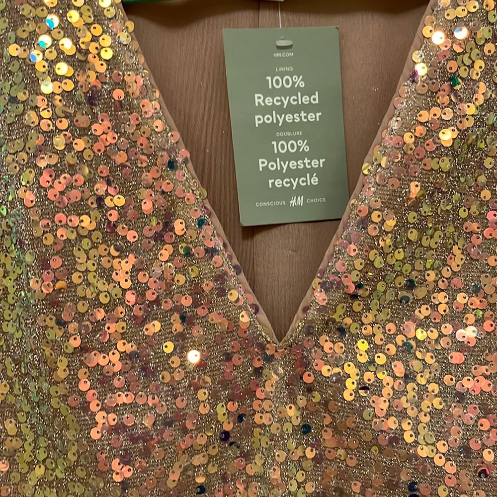 H&M Sequin Dress